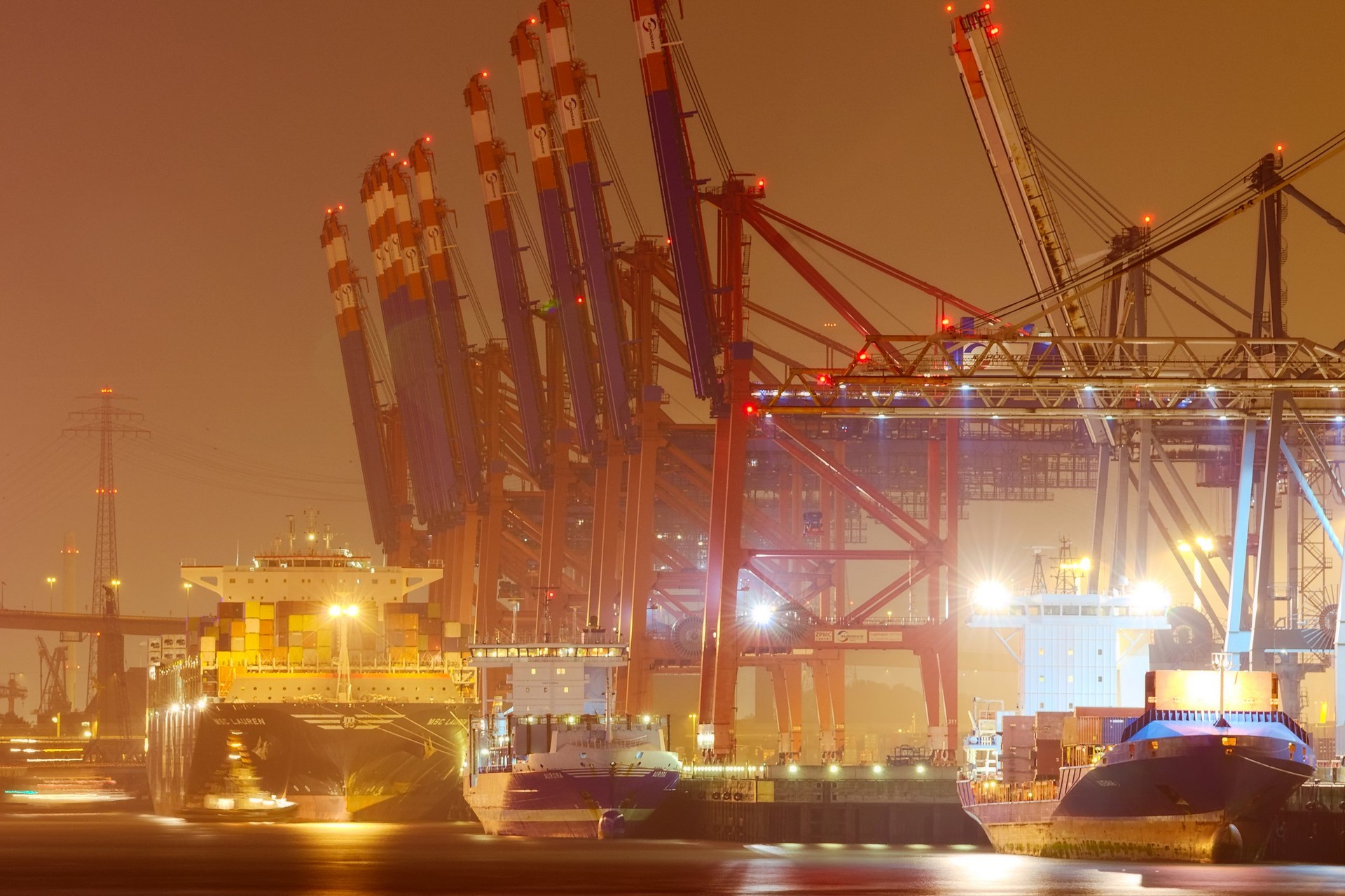 MSC Lauren am Eurogate
